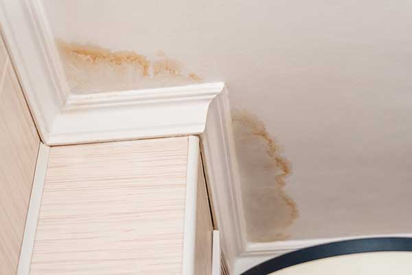 Mold Abatement Services
