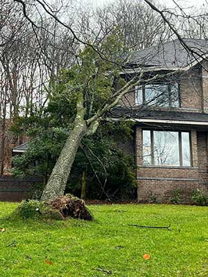 Storm Damage Roof Repair