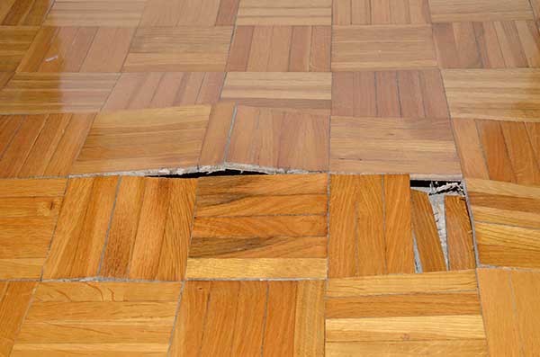 Water Damage Services