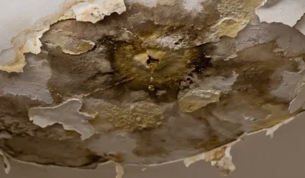 Sewage Backup Cleanup & Restoration
